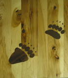 Bear tracks