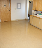LVT Before (1)